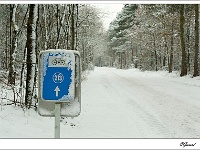 20101202_0057 kopie